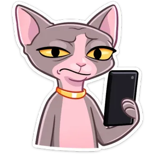😕 cat, sphinx cat, phone, cartoon, sticker, animal telegram sticker