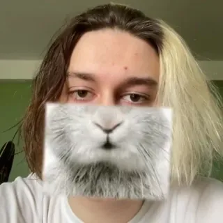 🐰 Królicza twarz, Królik, Zwierzę, Selfie, Filtr twarzy telegram sticker