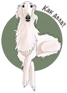 😑 Как Дела? chien, barzoï, lévrier russe, salutation, comment ça va ?, animal telegram sticker