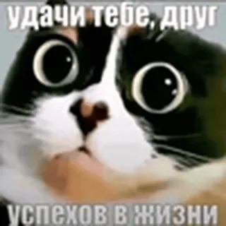 @emojis_prem < все эмодзи telegram emojis 🤔