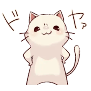 😎 ドヤ kot, słodki, zwierzę, kawaii, naklejka telegram sticker