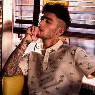 🔦 Zayn Malik zayn malik, zanger, beroemdheid, portret telegram sticker