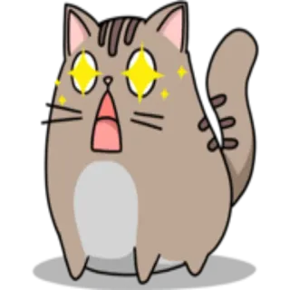 ✨ gatto, sorpreso, cartone animato, carino, animale, occhi scintillanti whatsapp sticker