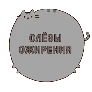 🍩 СЛЁЗЫ
ОЖИРЕНИЯ кот, мультфильм, русский, плакать, толстый, вес, стикер whatsapp sticker