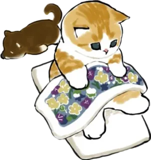 😴 gato, gatinho, animal, fofo, sono telegram sticker