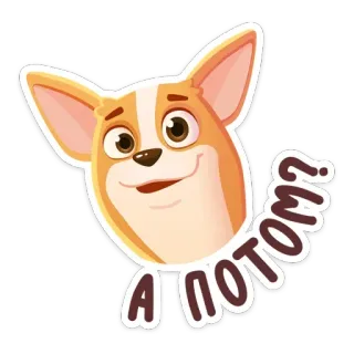 😧 А потом? cachorro, corgi, pergunta, expressão telegram sticker