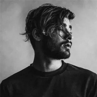 👑 Zayn Malik 有名人, 歌手, ゼイン・マリク, ワン・ダイレクション, ポートレート telegram sticker
