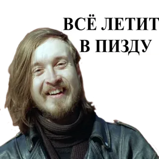 😧 ВСЁ ЛЕТИТ В ПИЗДУ russian, slang, offensive, expletive, swear word, meme telegram sticker
