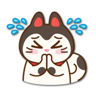 🙊 płacz, błagalny, smutny, kot, kawaii, przepraszający, błagający, słodki telegram sticker