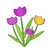 🌷