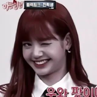 😉 우와 짱이다 kpop, lisa, blink whatsapp sticker