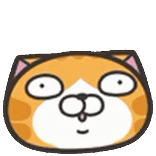 😮