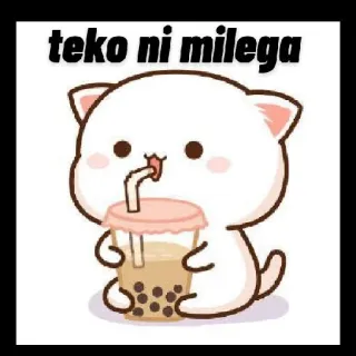 😜 teko ni milega gato, té de burbujas, lindo, dibujos animados whatsapp sticker