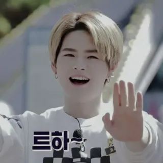 🐯 트하~ coreano, saludo, hola, gesto con la mano telegram sticker