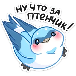 ☺️ НУ ЧТО ЗА ПТЕНЧИК! Vogel, süß, Tier, Cartoon, blau, Aufkleber, russisch whatsapp sticker