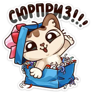 🙂 СЮРПРИЗ!!! gato, sorpresa, lindo, animal, regalo, caja, lazo whatsapp sticker
