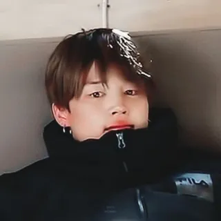 🌷 whatsapp sticker
