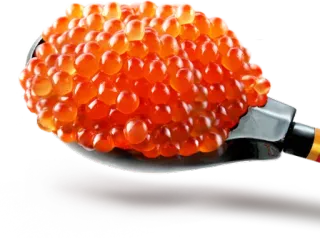 🍗 caviar, comida, mariscos, cuchara, huevos, delicatessen, lujo telegram sticker