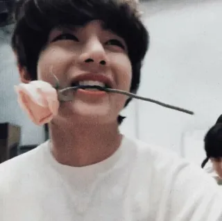 💭 man, flower, rose, smiling, portrait, happy telegram sticker