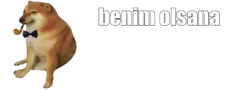🤔 Doge benim olsana dog, meme, bowtie, doge, pipe whatsapp sticker