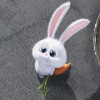 🤓 Snowball The Secret Life of Pets conejo, dibujo animado, animal, mascota whatsapp sticker