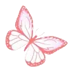 🦋