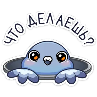 ❓ ЧТО ДЕЛАЕШЬ? chim, bồ câu, câu hỏi, phim hoạt hình, động vật telegram sticker