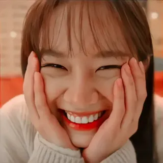 🦊 mujer, sonrisa, retrato, persona, feliz, alegre, actriz, coreana telegram sticker