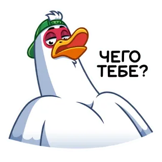 😠 ЧЕГО
ТЕБЕ? 鸭子, 鸟, 贴纸, 俄语, 表情, 帽子 telegram sticker
