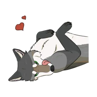 🍆 lobo, corazón, animal, dibujo animado, lindo, acostado, lengua whatsapp sticker