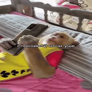 🐵 спокойной ночи уше mono, animal, teléfono, dormir, buenas noches whatsapp sticker