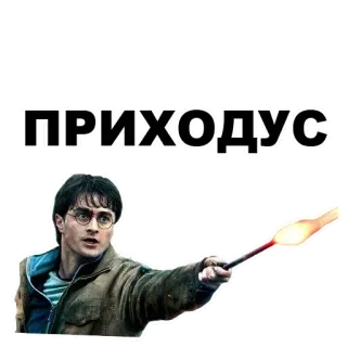 👩‍👩‍👧‍👦 Harry Potter ПРИХОДУС Harry Potter, magie, sorcier, sort, russe telegram sticker