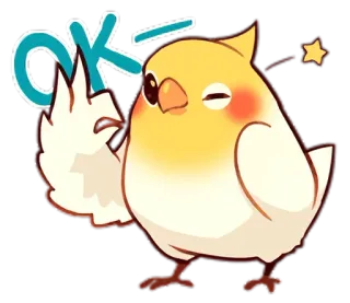 👌 OK pássaro, ok, aprovação, fofo, animal, desenho animado, adesivo telegram sticker