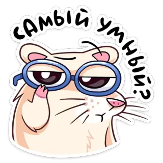 🤓 самый умный? แฮมสเตอร์, แว่นตา, คิด, การ์ตูน, สัตว์ telegram sticker