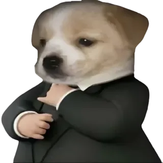 😎 chien, chiot, costume, homme d'affaires, animal, mignon telegram sticker