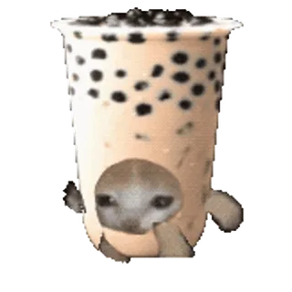 🐈 чай боба, тюлень, милый, молочный чай, животное, мем telegram sticker