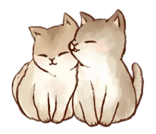 Kitten daily 🐈 telegram stickers