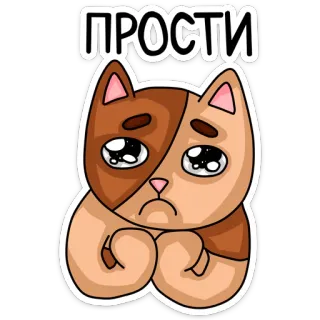 🙄 ПРОСТИ кот, извинение, прости, грустный, милый, котик, умоляющий whatsapp sticker