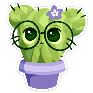 🙄 cacto, planta, fofo, flor, óculos, adesivo, kawaii whatsapp sticker