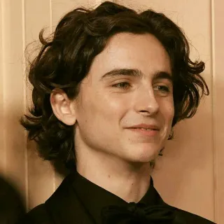 🙃 Timothée Chalamet ator, celebridade, retrato, Timothée Chalamet telegram sticker