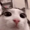 👁
