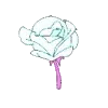 🌹