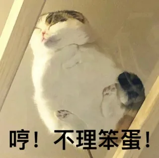 😤 哼! 不理笨蛋! gato, dormido, lindo, animal, doméstico, mascota telegram sticker