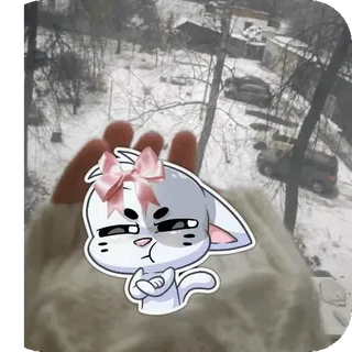 ✋ cat, cartoon, sticker, cute, winter, snow telegram sticker