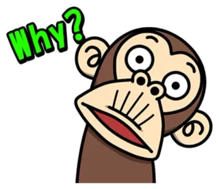 🤔 Why? 원숭이, 질문, 혼란스러움, 동물, 만화 telegram sticker