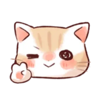 ✌ кот, наклейка, животное, милый, средний палец, оскорбительный whatsapp sticker