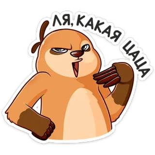 😐 ЛЯ, КАКАЯ ЦАЦА kemalasan, kartun, lucu, hewan, ekspresi, humor telegram sticker