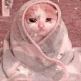 🐱 Katze, traurig, weinend, süß, Kätzchen, Handtuch telegram sticker