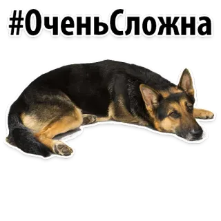 😢 #ОченьСложна dog, German shepherd, hashtag, text, difficult, complex telegram sticker