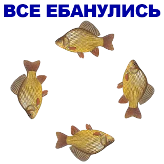 🐠 poisson, animal, nage, eau douce whatsapp sticker